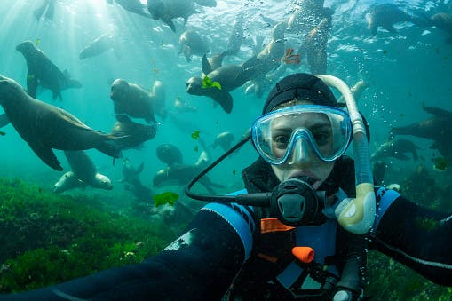 Día Mundial del Turismo, Puerto Madryn