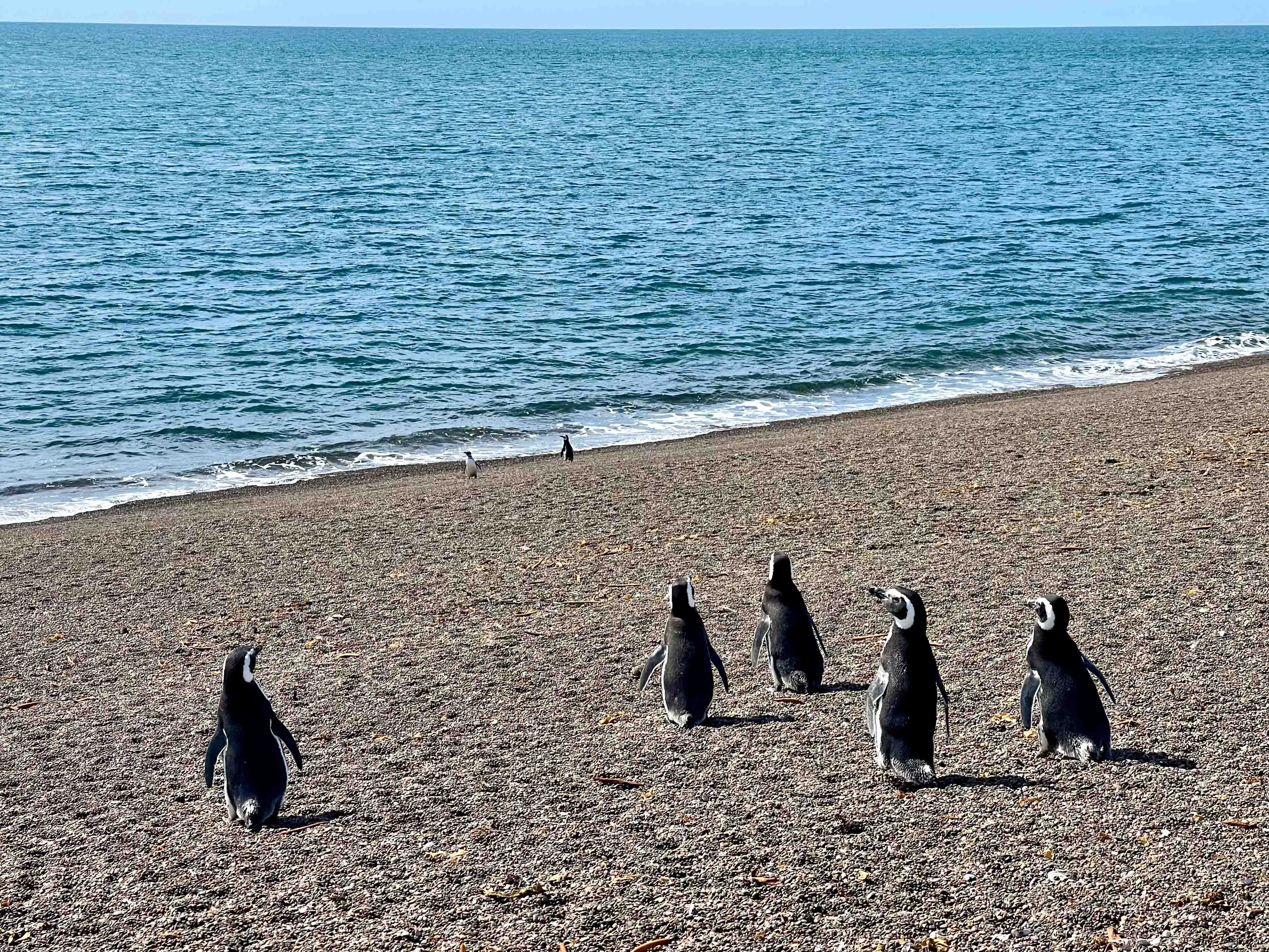 Día Mundial del Turismo, Puerto Madryn