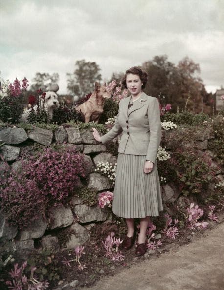 Isabel II