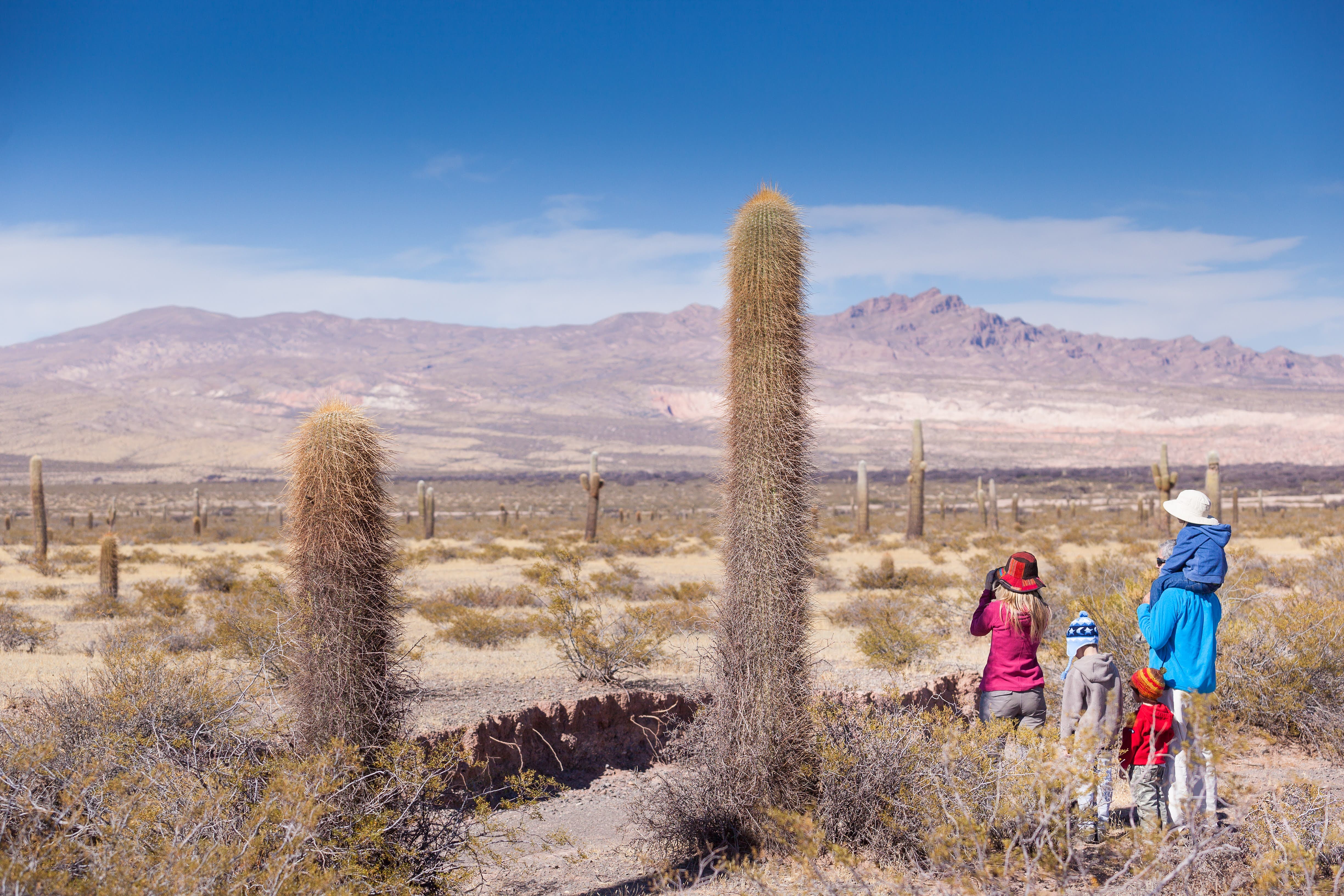 , Cachi fue seleccionado oficialmente para integrar la delegación argentina que competirá en la edición 2026 de Best Tourism Villages de ONU Turismo