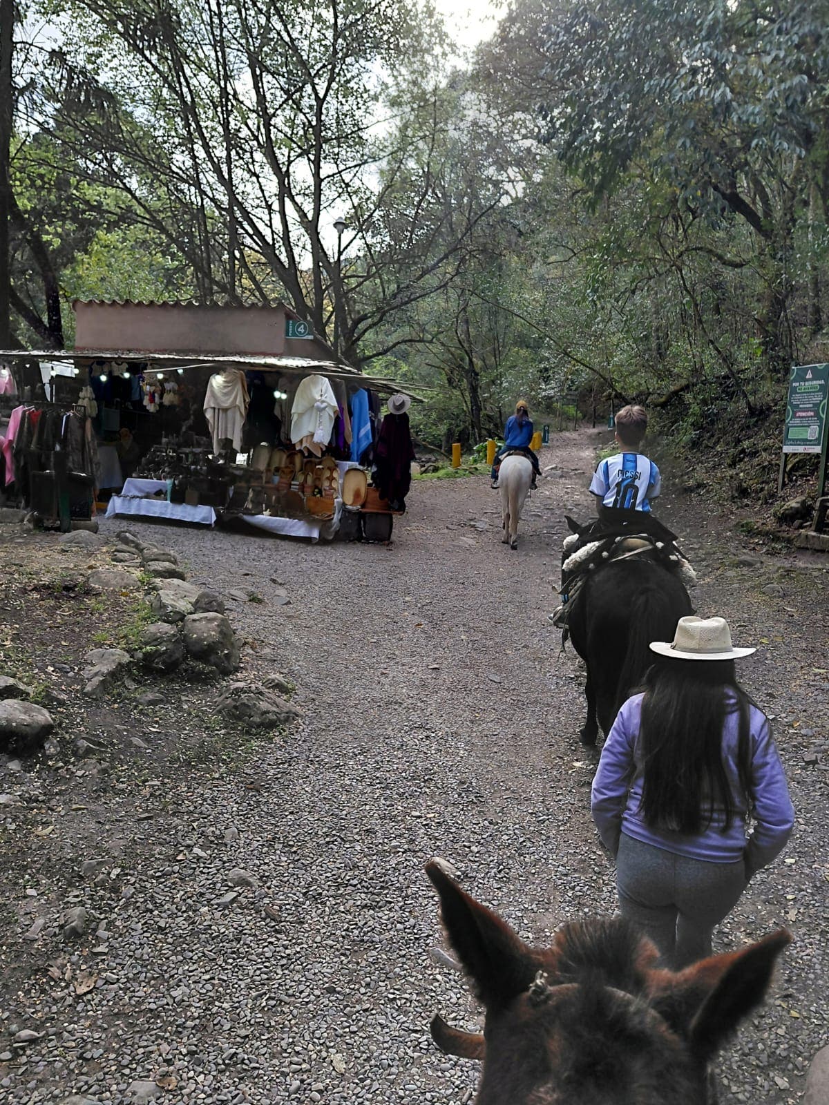 Recorrer el Cerro San Lorenzo a caballo te conecta con el ambiente desde otro ángulo