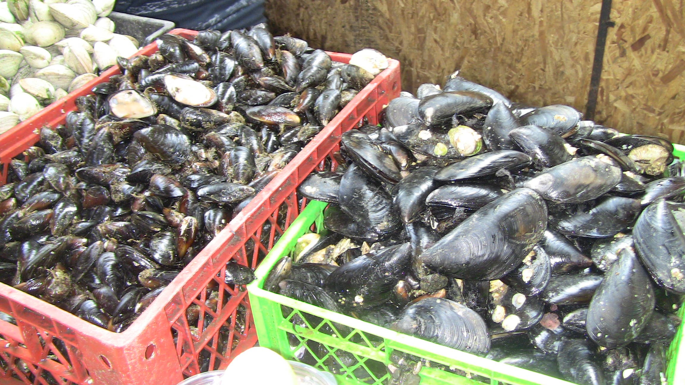 Los productos típicos de Chiloé, en la feria de Castro
