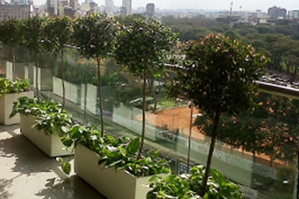 Con pequeños árbolitos podés lograr una escala interesante