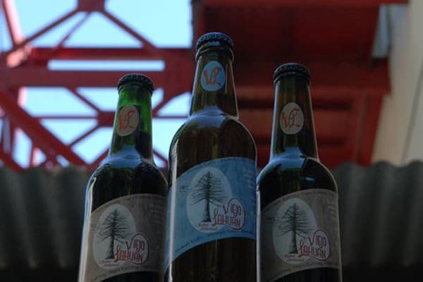 Una opción sustentable para regalar en estas fiestas