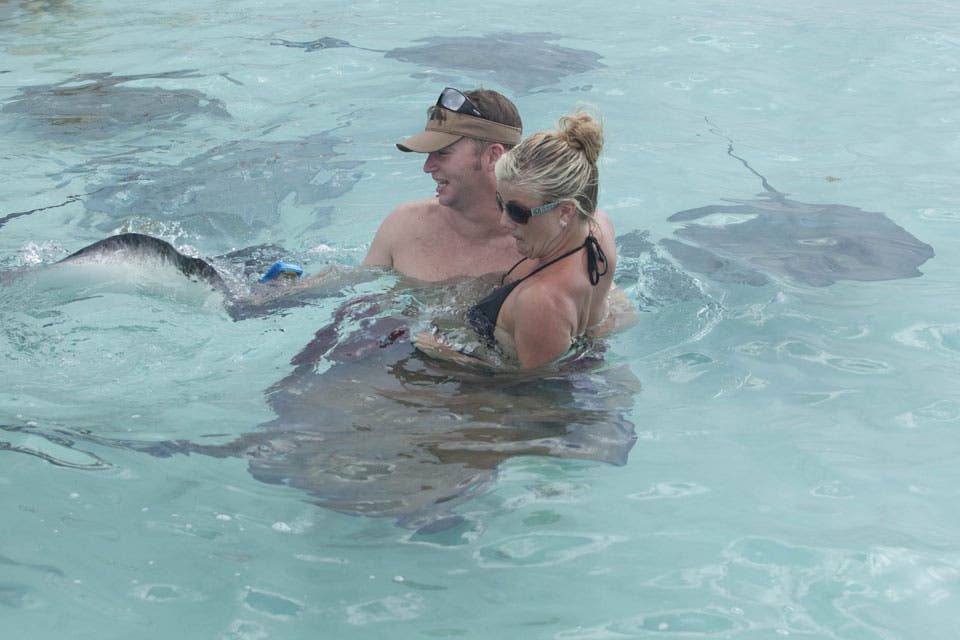 Stingray city: la excursión obligatoria para los viajen a Caymán