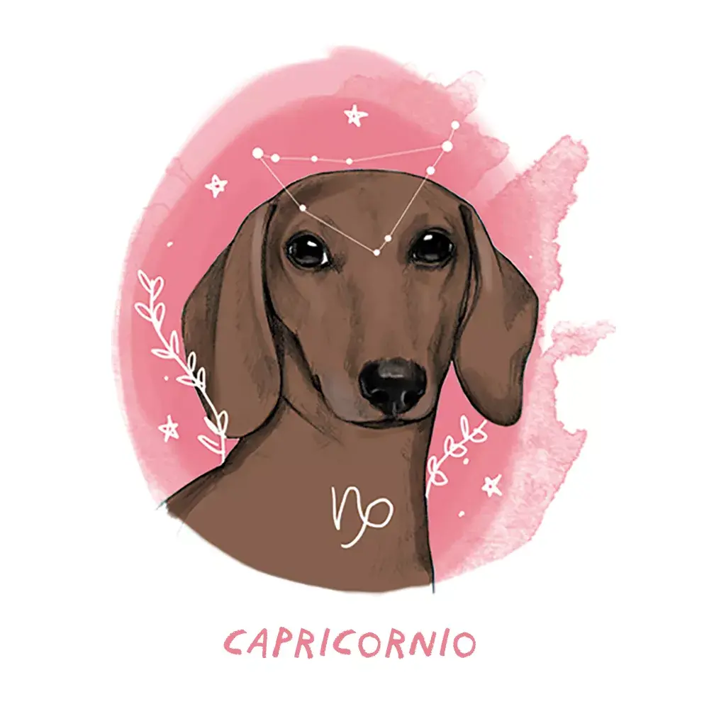 Capricornio
