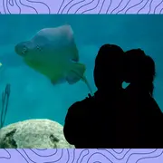 Temaikén se encuentra Belén de Escobar sobre la Ruta Provincial 25