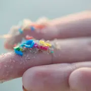 Advierten gran cantidad de microplásticos en distintas áreas del Mar Argentino