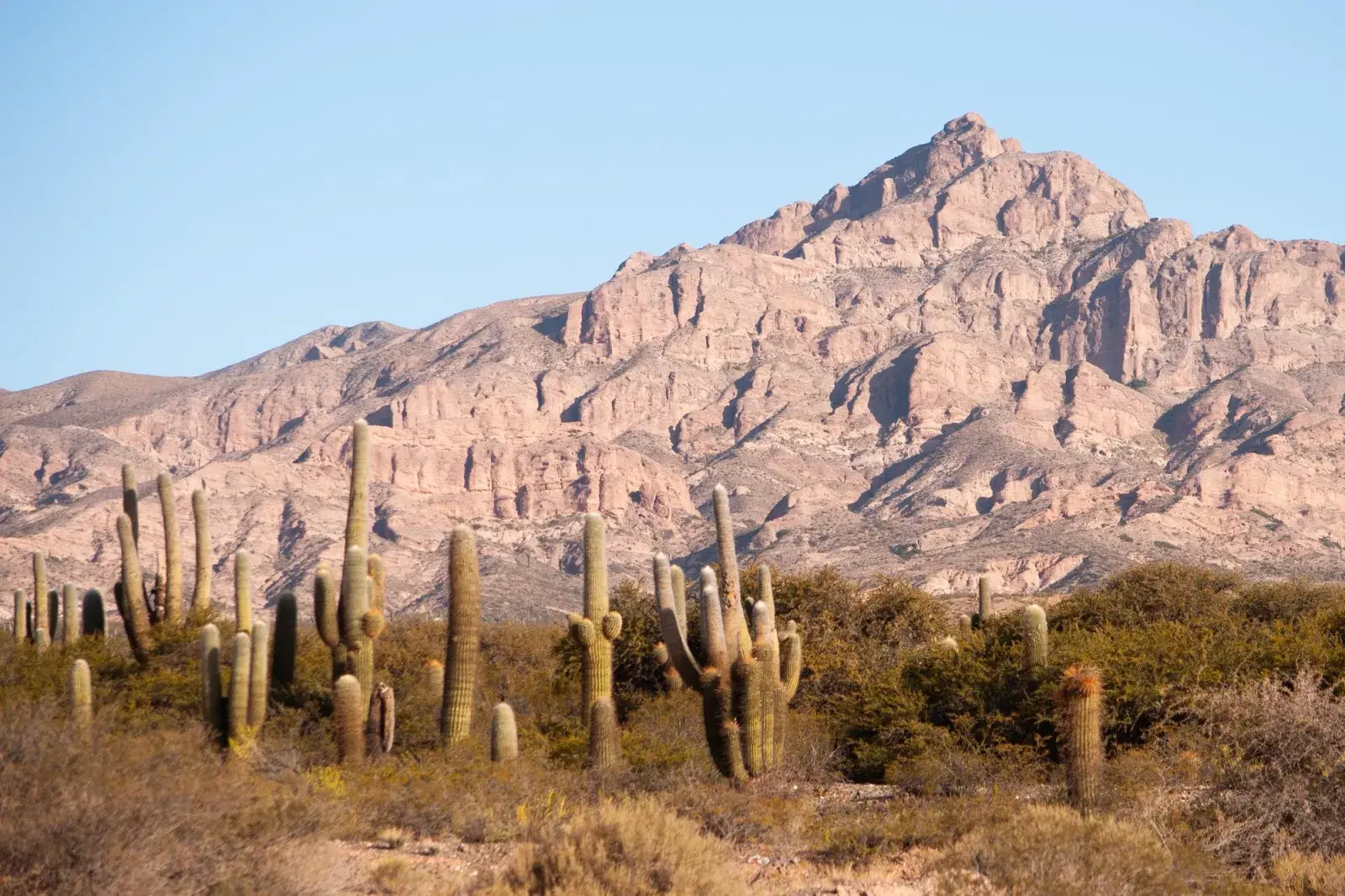 Viñedos que deberías visitar en los Valles Calchaquíes.