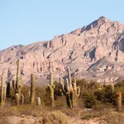 Viñedos que deberías visitar en los Valles Calchaquíes.