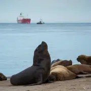 Mar del Plata es un destino muy elegido para una escapada