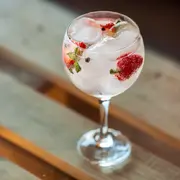 Cuatro propuestas de gin, ideales para las amantes del gin tonic.