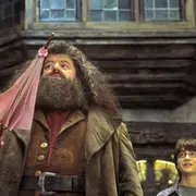 Robbie Coltrane como Hagrid en Harry Potter.