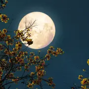 La luna llena de octubre se podrá ver este domingo 9.