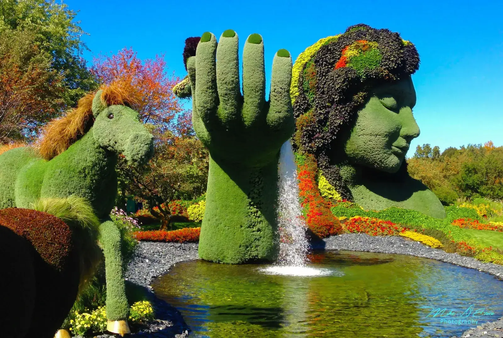 El estanque del Jardín Botánico de Buenos Aires - Historias en verde