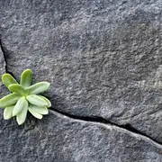 Modo supervivencia: 12 herramientas para volver a tomar el control.