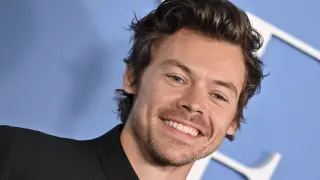 Harry Styles fue una de las personalidades que el artista turco retrató.