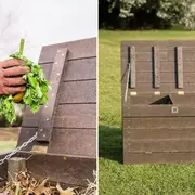Consejos para hacer compost durante el verano.
