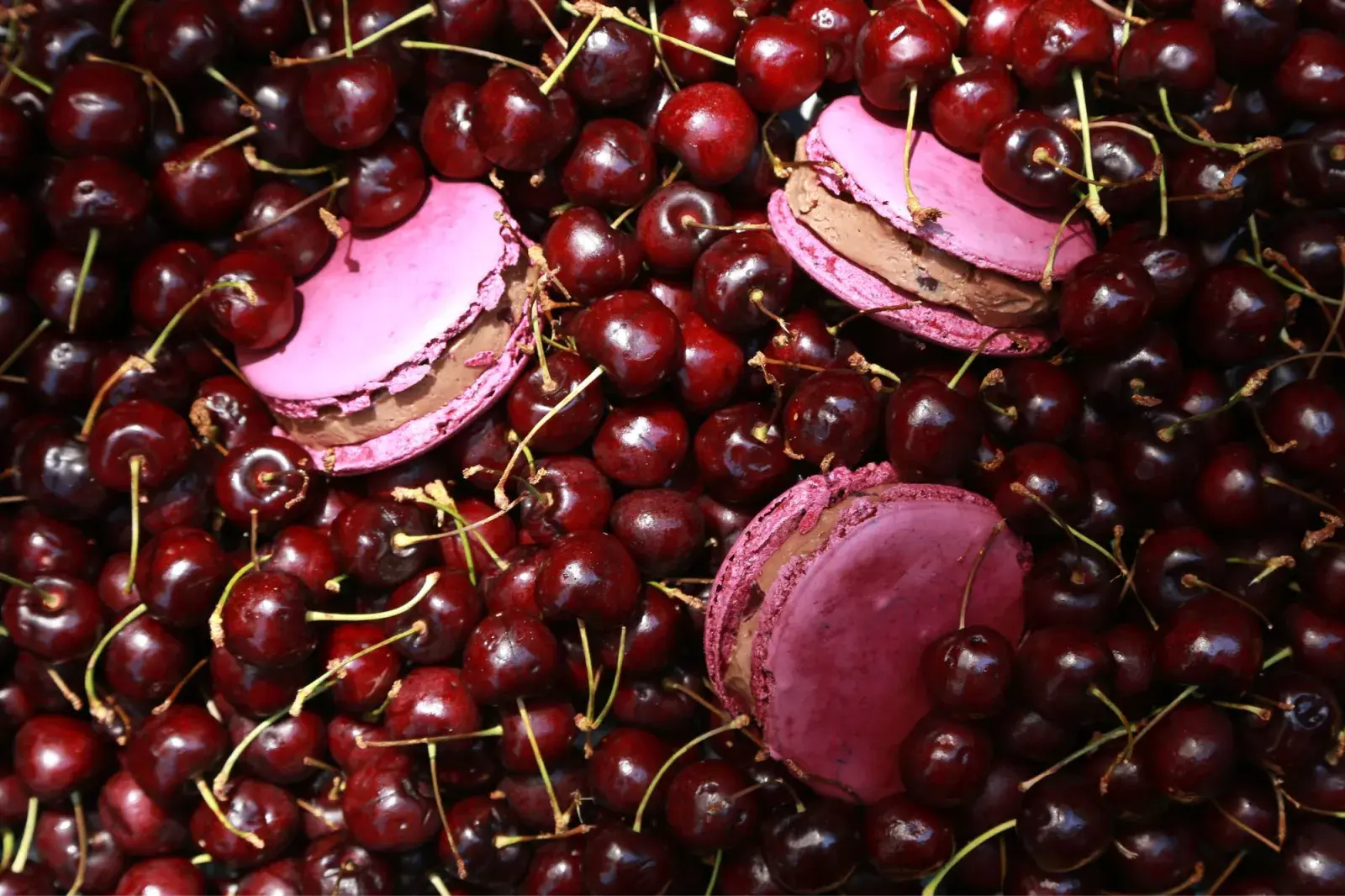 Qué locales participan de la Semana de la Pastelería Francesa.