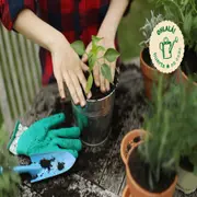 Huerta en Casa, primer episodio