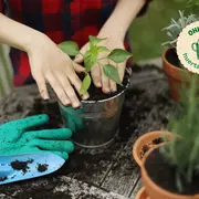 Huerta en Casa, primer episodio