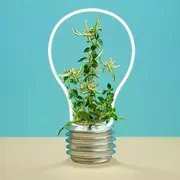 Arrancar "pensando en verde" puede hacerle toda la diferencia a tu emprendimiento.