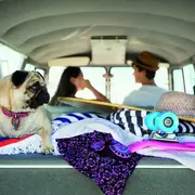 Brasil: una guía para viajar en auto