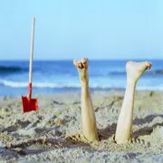 Cuando no todo sale bien en las vacaciones.