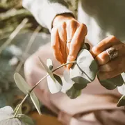 Ritual del eucalipto para descongestionar el fin de año.