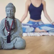 Cómo armar las semillas de la abundancia del Feng Shui.