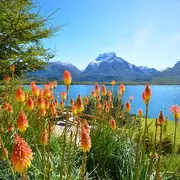 Por qué deberías visitar Bariloche en verano.