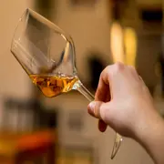 5 botellas de vino naranjo que podés probar.