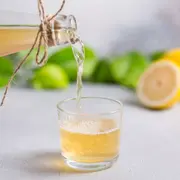 Kombucha: todo sobre esta bebida fermentada que es furor.