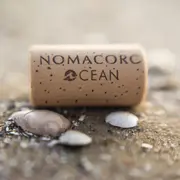 Crean un corcho que cuida los mares.