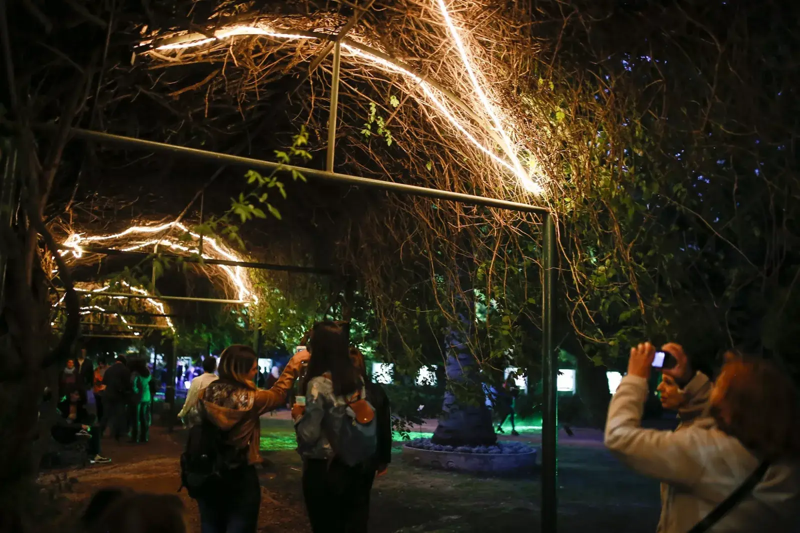 Visita nuestroDispensario Botánico — Sueño con servir un Té