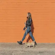 Crearon una app para registrar tu animal de compañía y que tenga su DNI.