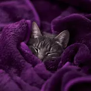 Cómo prevenir problemas respiratorios en invierno.