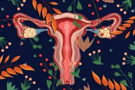 Cuáles son las enfermedades más comunes del cuello uterino.