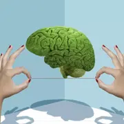 Neurociencias: ¿cómo usarlas a nuestro favor en el trabajo?