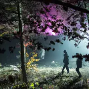 Los creadores de Secret Garden son los mismos de Meet Vincent van Gogh.