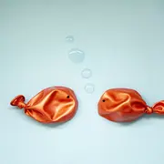 Un encuentro casual terminó en la guardia de una veterinaria.