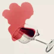 6 etiquetas de vino que vas a querer probar.