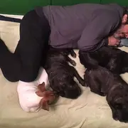 Ricardo Darín despidió a su perro Ronko.