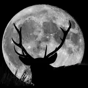 Luna llena de Ciervo: ¿cómo ver esta luna brillante de julio?