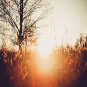 Solsticio de invierno