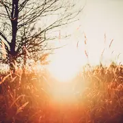 Solsticio de invierno