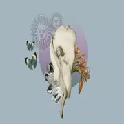 Signo por signo, estas son las claves para ser feliz.