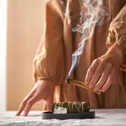 5 plantas mágicas para limpiar tu casa.