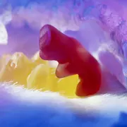 Qué pasa cuando no tenés sexo.