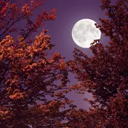 Superluna azul: cómo aprovechar su energía poderosa